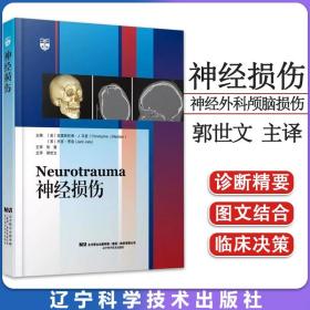 神经损伤 郭世文 神经外科颅脑损伤血肿鼻奔损伤脑震荡眼眶损伤穿透性脑损伤适合于亚专业的神经外科医生书籍 9787559126061