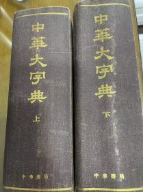 中华大字典（上下）