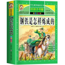 钢铁是怎样炼成的/新课标学生课外必读丛书