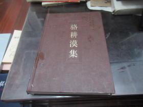 骆耕漠集（中国社会科学院学者文选）T2