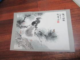 著名画家蔡育贤 精品软片   国画