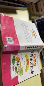 小学生分类作文范本大全