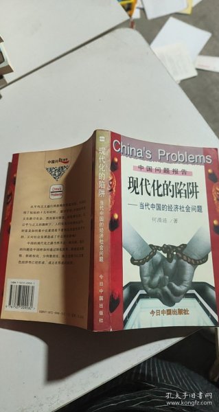 现代化的陷阱：当代中国的经济社会问题