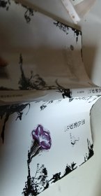 黑色紫罗兰【1本】