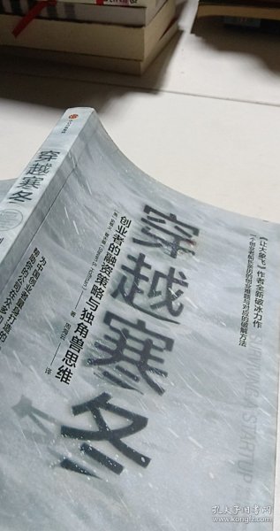 穿越寒冬:《让大象飞》作者的全新破冰力作