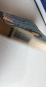 闯进华尔街的中国女孩【1本】