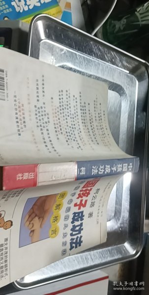 中国孩子成功法:改变孩子命运的八大方法:图解格言