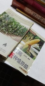 怎样提高玉米种植效益