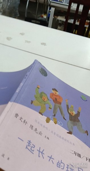 快乐读书吧一起长大的玩具人教版二年级下册教育部（统）编语文教材指定推荐必读书目人民教育