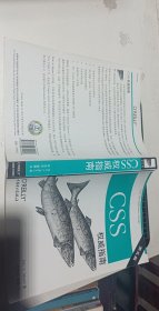 CSS权威指南（第三版）