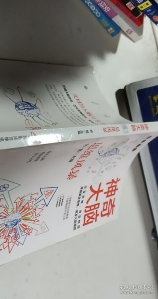 科学的大脑开发书-神奇大脑8册活用思维导图，学会科学记忆，活用逻辑思维，玩转数独游戏，高效学习方法【1本】