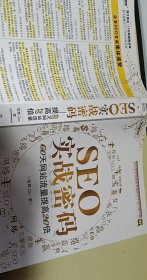 SEO实战密码：60天网站流量提高20倍