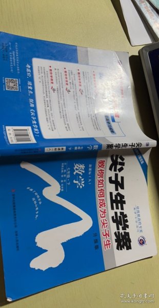 尖子生学案：数学（七年级下）（新课标·人 升级版）