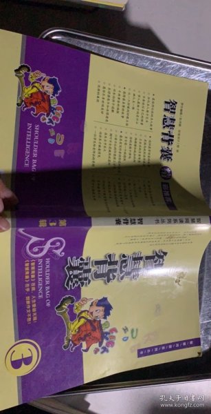 智慧背囊（第三辑）：智慧背囊系列丛书