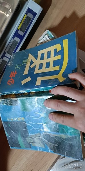 少年万事通