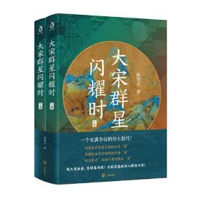 中国历史宋代通俗读物：大宋群星闪耀时（全二册）