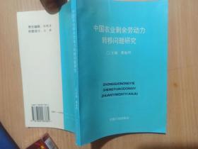 中国农业剩余劳动力转移问题研究