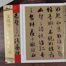 天下墨宝 文征明前后赤壁赋 行书字帖16开书法艺术