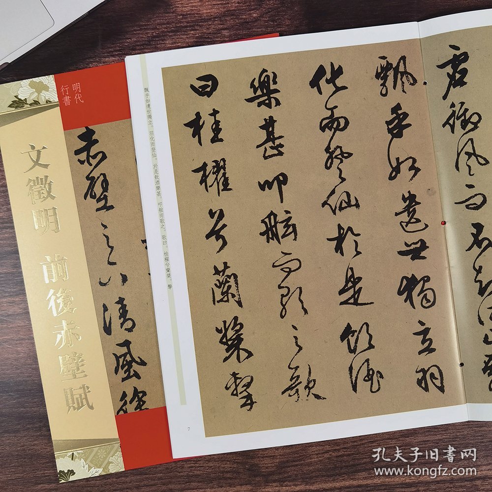 天下墨宝 文征明前后赤壁赋 行书字帖16开书法艺术