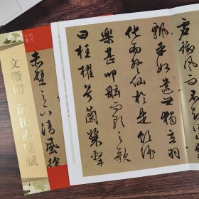 天下墨宝 文征明前后赤壁赋 行书字帖16开书法艺术