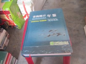 青海统计年鉴 2002 实物拍照 货号7-1