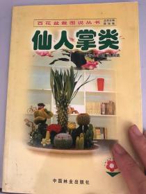 仙人掌类