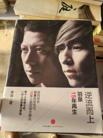 逆流而上：羽泉15年再生