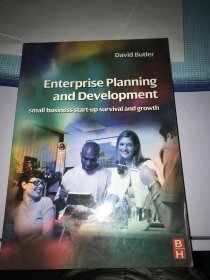 Enterprise planning and development