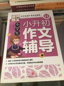 小学生小升初作文辅导