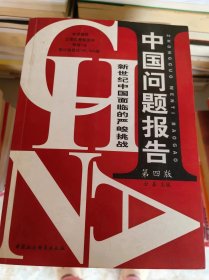 中国问题报告