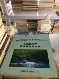 工业生态学：政策框架与实施（翻译版）