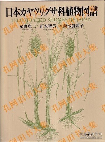 日本カヤツリグサ科植物图谱