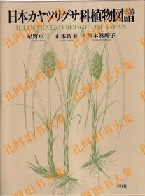 日本カヤツリグサ科植物图谱