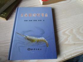 东海经济虾蟹类
