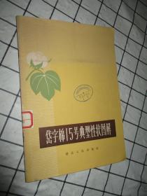 岱字棉性状图解