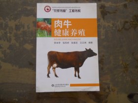 肉牛健康养殖