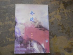 長(zhǎng)篇紀(jì)實(shí)文學(xué) 命運(yùn)