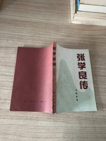 张学良传