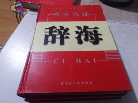 现代汉语辞海 2