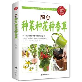 微型盆栽创意DIY