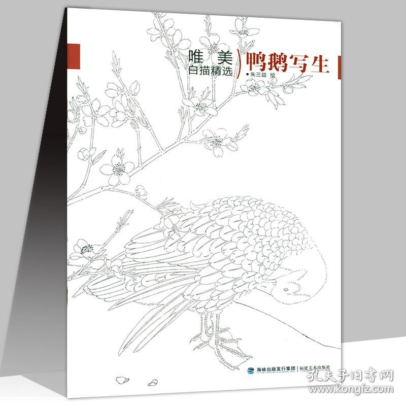 唯美白描精选鸭鹅写生 中国画白描工笔画谱作品集入门篇天美画典百雀图谱百猫画谱书籍