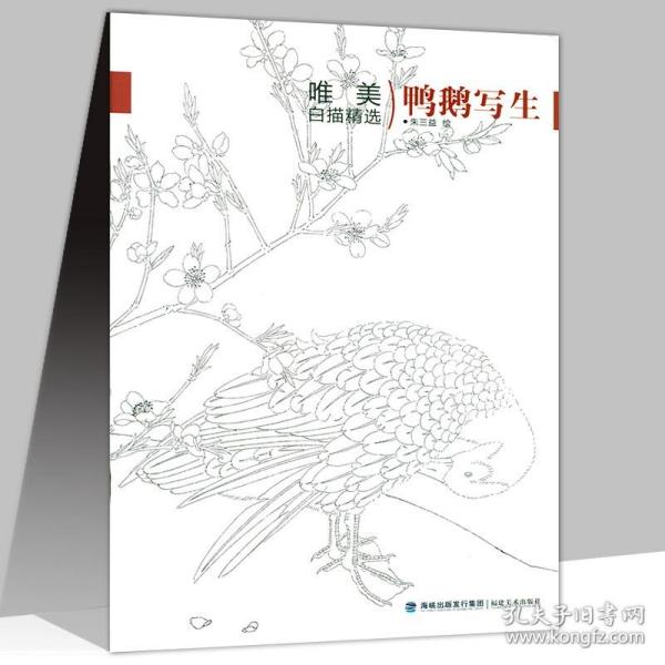 唯美白描精选鸭鹅写生 中国画白描工笔画谱作品集入门篇天美画典百雀图谱百猫画谱书籍