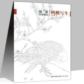 唯美白描精选鸭鹅写生 中国画白描工笔画谱作品集入门篇天美画典百雀图谱百猫画谱书籍