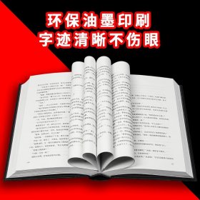 东野圭吾小说集 全套十册 白夜行放学后 解忧杂货店 秘密幻夜恶意悲剧人偶新参者红手指 嫌疑人X的献身