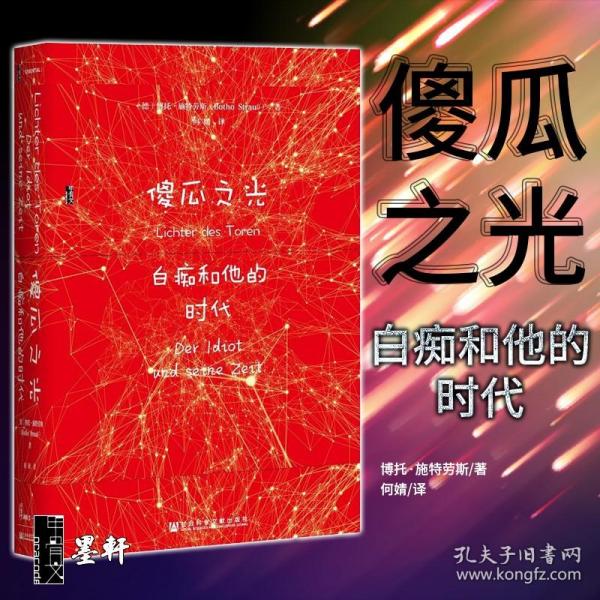 甲骨文丛书·傻瓜之光：白痴和他的时代