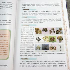 精装彩图版 中医单方妙方实用大全偏方名方验方汇编食疗药疗方理疗方 常用中草药彩色图谱中医养生保健中医学入门书籍