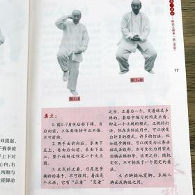 【】陈氏太极拳（附光盘） 陈氏太极拳图说老架一路74式完全图解炮锤二路技击精要