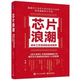 芯片浪潮： 纳米工艺背后的全球竞争