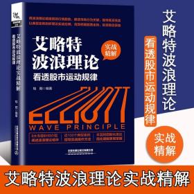 艾略特波浪理论实战精解：看透股市运动规律