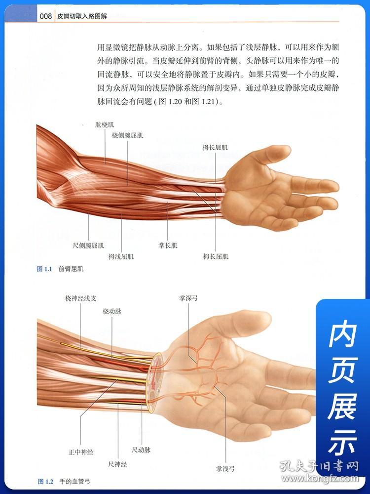 皮瓣切取入路图解 临床实用皮瓣外科学穿支皮瓣手术图解 皮瓣移植实例彩色图谱 临床创伤外科修复重建外科整形外科学 上海科学技术